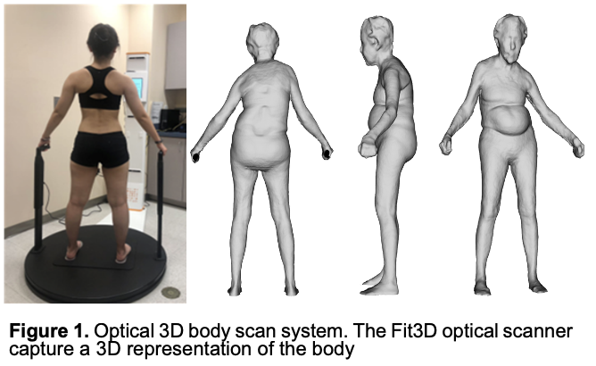 Figure showing representation of 3D body scan used in study